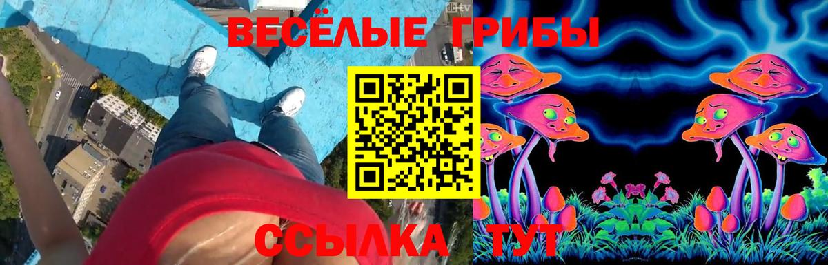 Галлюциногенные грибы GOLDEN TEACHER Жуковский