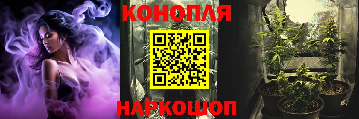 Марихуана Bruce Banner  Вход с VPN  Жуковский  Канабис план 